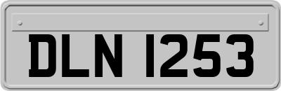 DLN1253