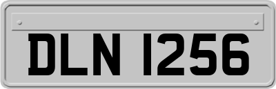 DLN1256