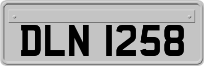 DLN1258