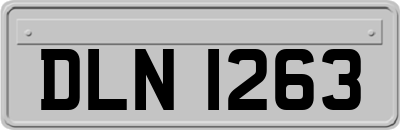 DLN1263