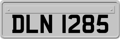 DLN1285