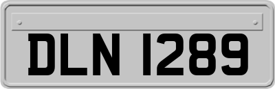 DLN1289