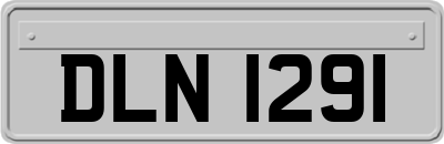 DLN1291