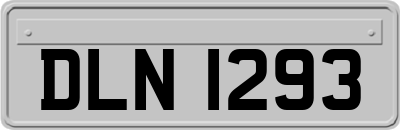 DLN1293
