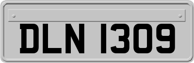 DLN1309