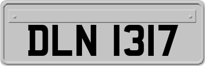 DLN1317