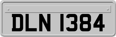 DLN1384