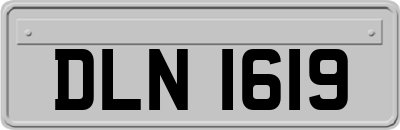 DLN1619