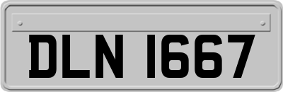 DLN1667