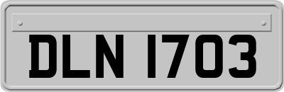 DLN1703