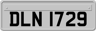 DLN1729