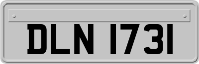 DLN1731