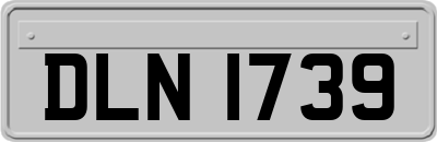 DLN1739