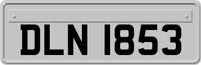 DLN1853