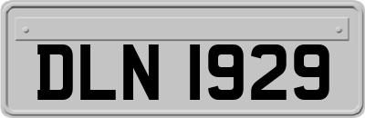 DLN1929