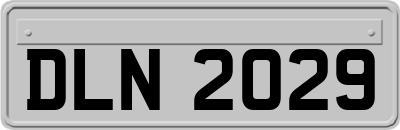 DLN2029