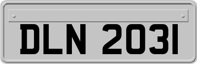 DLN2031