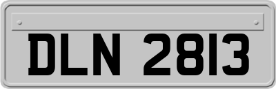 DLN2813