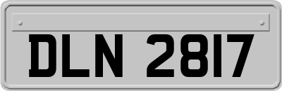 DLN2817