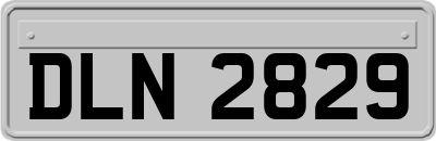 DLN2829