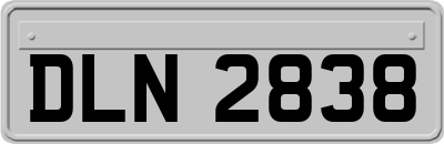 DLN2838