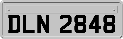 DLN2848