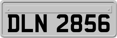 DLN2856