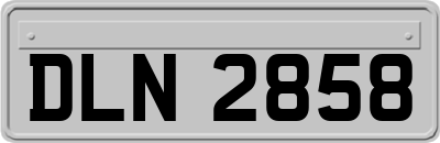 DLN2858