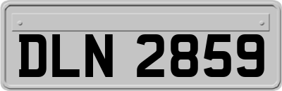 DLN2859