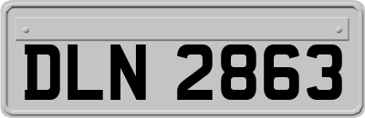 DLN2863