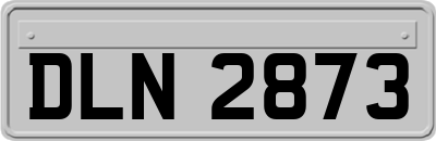 DLN2873