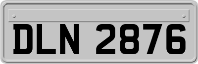 DLN2876