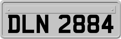 DLN2884