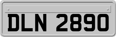 DLN2890
