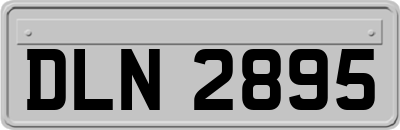 DLN2895