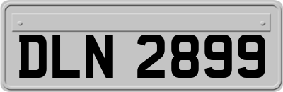 DLN2899