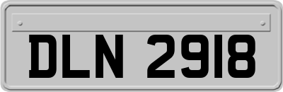 DLN2918