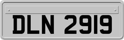 DLN2919