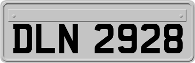 DLN2928