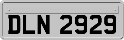 DLN2929