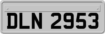 DLN2953