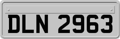DLN2963