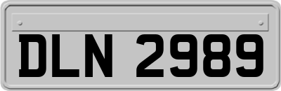 DLN2989