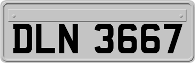 DLN3667