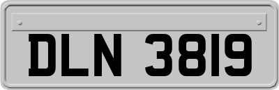 DLN3819