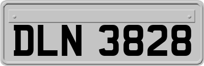 DLN3828
