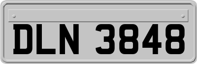 DLN3848