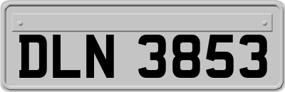 DLN3853