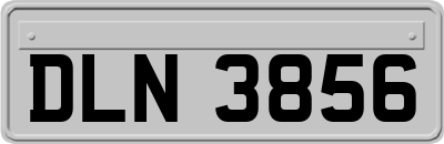 DLN3856