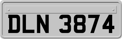 DLN3874